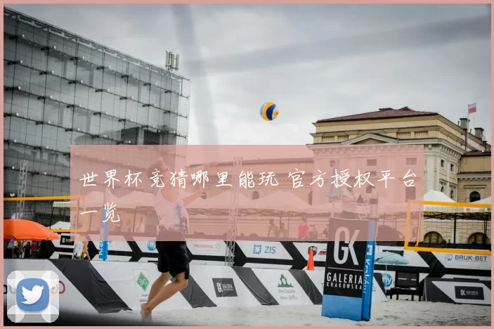 世界杯竞猜哪里能玩 官方授权平台一览