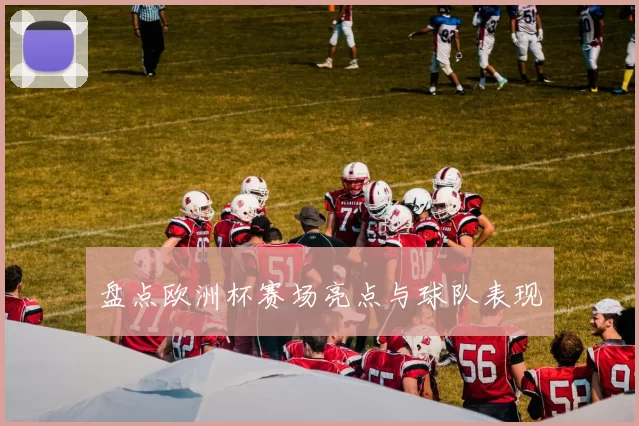 盘点欧洲杯赛场亮点与球队表现