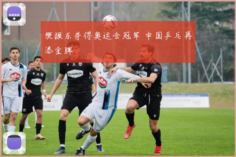 樊振东夺得奥运会冠军 中国乒乓再添金牌
