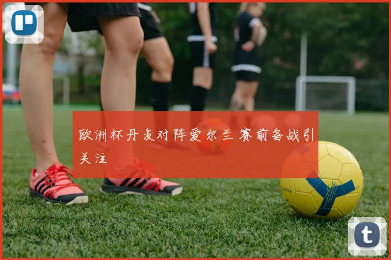 欧洲杯丹麦对阵爱尔兰 赛前备战引关注