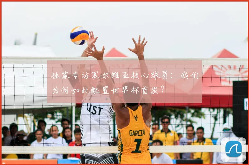 独家专访塞尔维亚核心球员：我们为何如此配置世界杯首发？