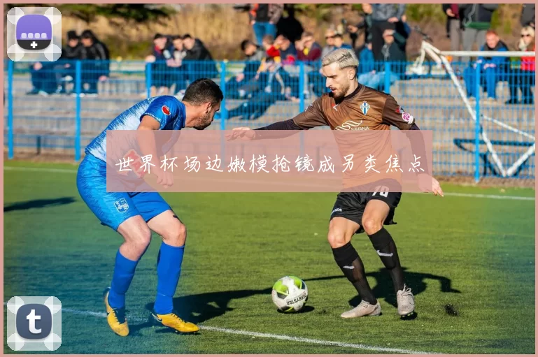 世界杯场边嫩模抢镜成另类焦点