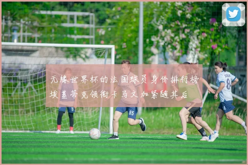 无缘世界杯的法国球员身价排行榜埃基蒂克领衔卡马文加紧随其后