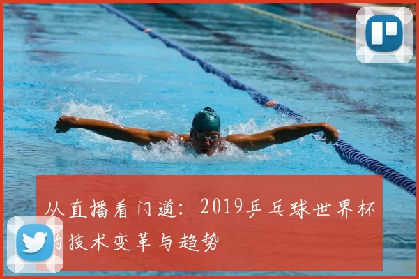 从直播看门道：2019乒乓球世界杯的技术变革与趋势
