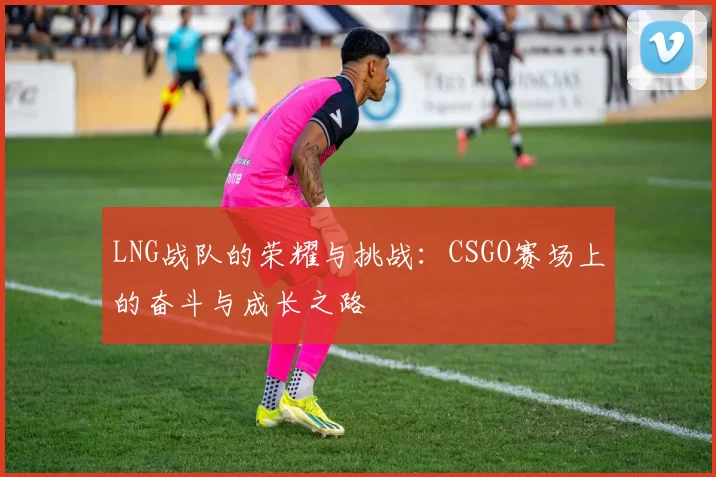 LNG战队的荣耀与挑战：CSGO赛场上的奋斗与成长之路