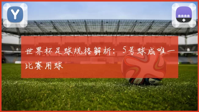 世界杯足球规格解析：5号球成唯一比赛用球