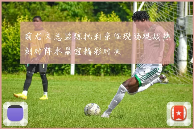 前尤文总监琼托利亲临现场观战热刺对阵水晶宫精彩对决