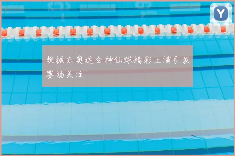 樊振东奥运会神仙球精彩上演引发赛场关注