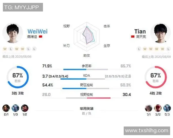赛后分析V5与FPX实力对比及比赛关键因素探讨