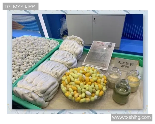 重庆排球队防守革新之路:从传统到现代的全面转型与突破 重庆排球队防守革新之路:从传统到现代的全面转型与突破